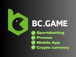 Discover the Future of Online Gambling with BC Co Crypto Casino